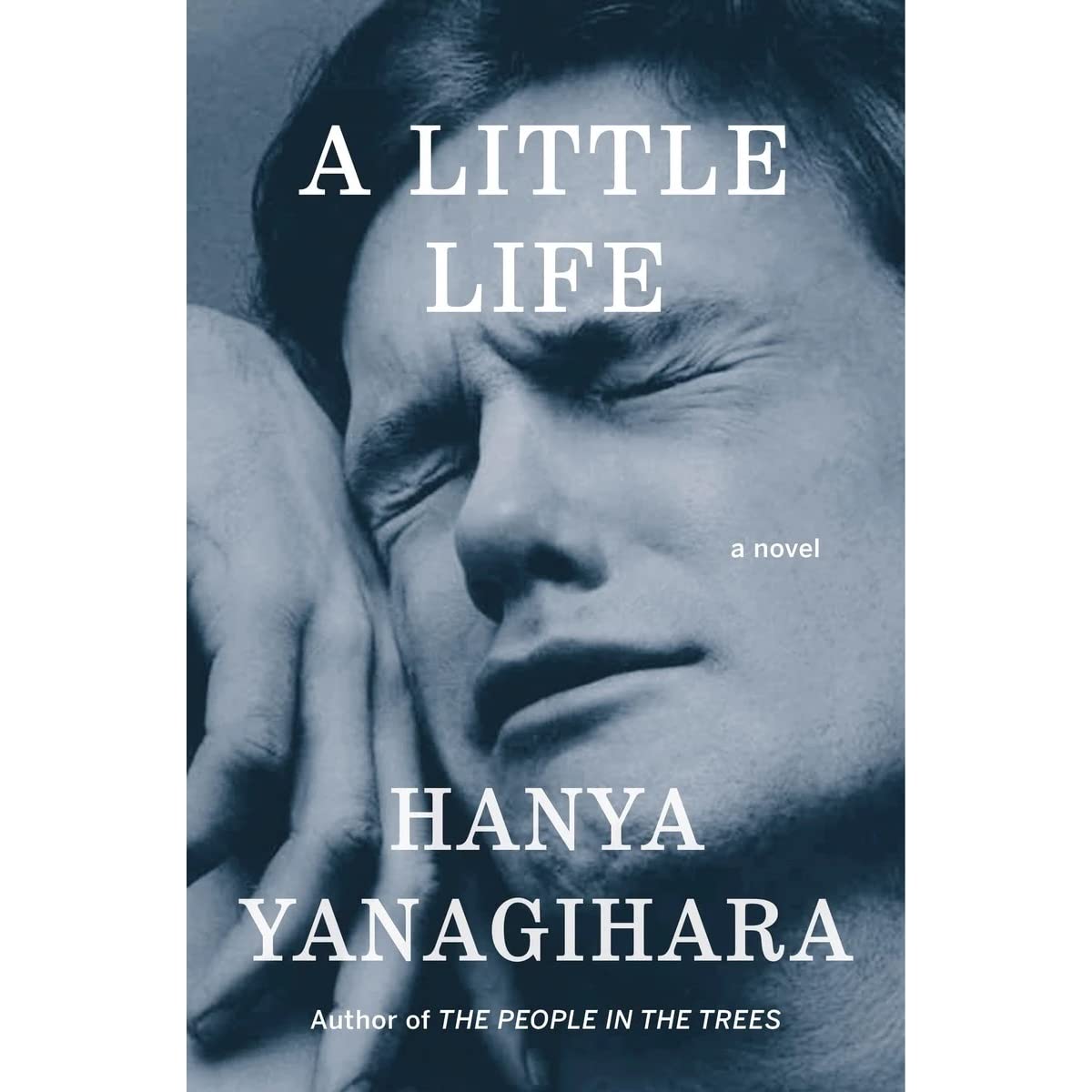 Book Review: A Little Life // Hanya Yanagihara : The Indiependent