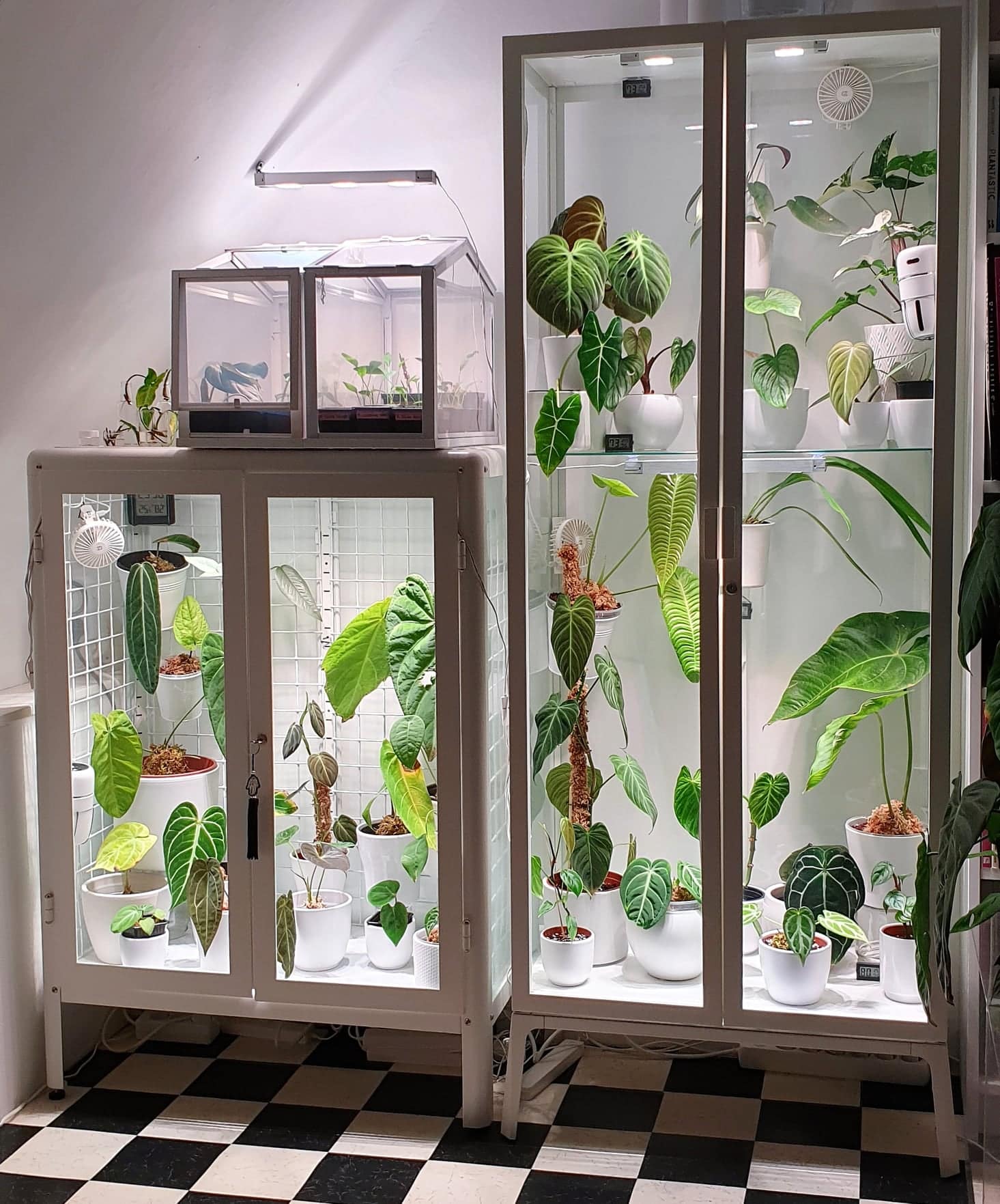 Сала за одгледување растенија во затворен простор