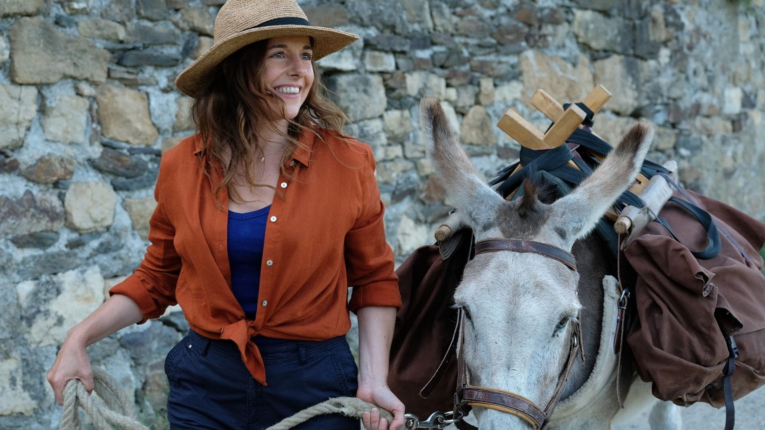 'My Donkey, My Lover And I' Is An Amusing Traipse Through The French