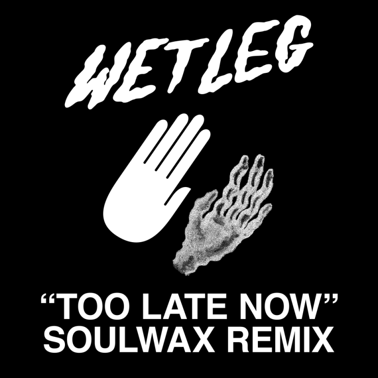 Track Review: Too Late Now – Soulwax Remix // Wet Leg & Soulwax