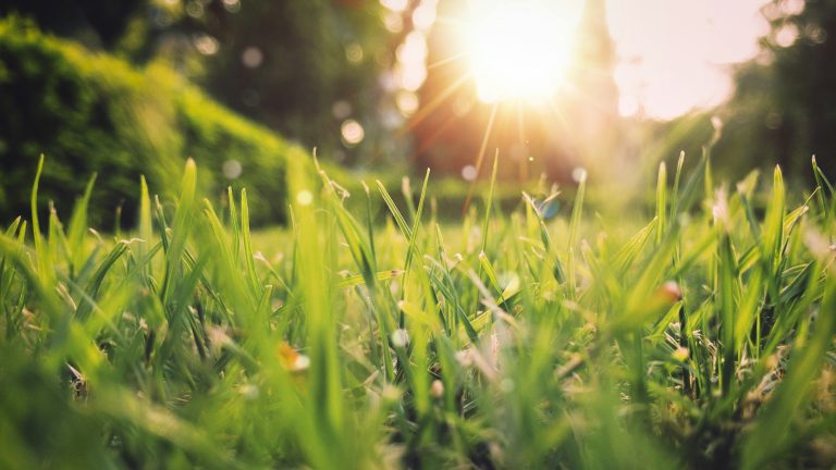 Spring Has Sprung: Turn A New Leaf This Season With These Top Tips For A Greener Life