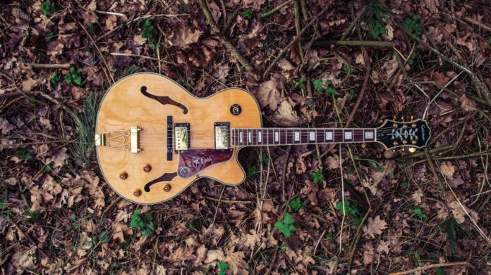 Music Artists U.S Politics