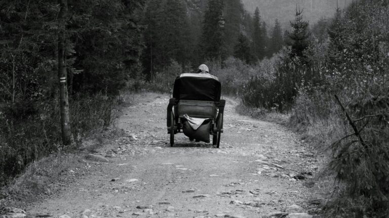 Poem of the Week: Because I Could Not Stop For Death // Emily Dickinson