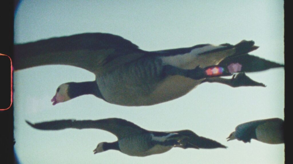 Super Nature © BFI London Film Festival 2025